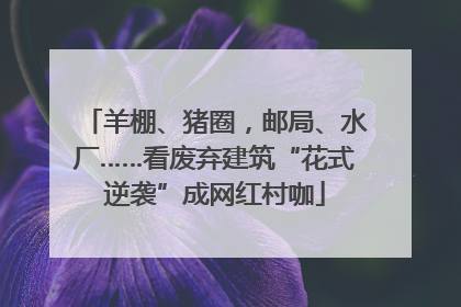 羊棚、猪圈，邮局、水厂……看废弃建筑“花式逆袭”成网红村咖