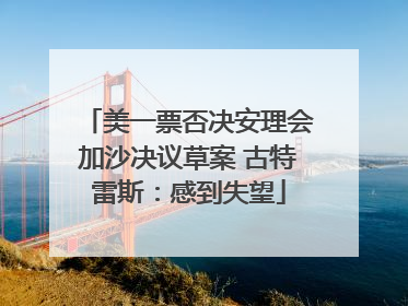 美一票否决安理会加沙决议草案 古特雷斯：感到失望
