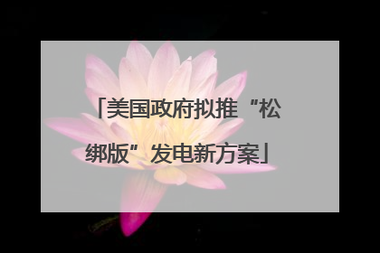 美国政府拟推“松绑版”发电新方案