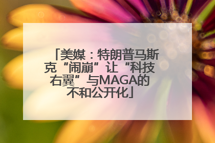 美媒：特朗普马斯克“闹崩”让“科技右翼”与MAGA的不和公开化