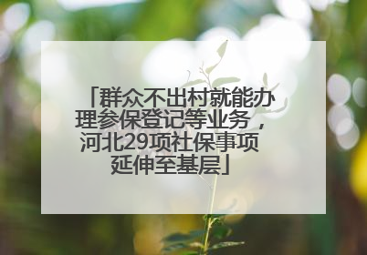 群众不出村就能办理参保登记等业务，河北29项社保事项延伸至基层