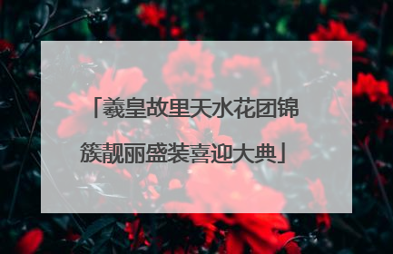 羲皇故里天水花团锦簇靓丽盛装喜迎大典