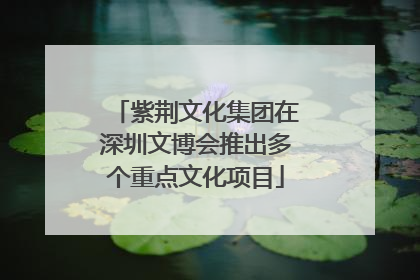 紫荆文化集团在深圳文博会推出多个重点文化项目