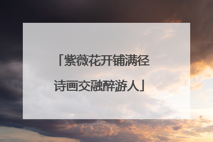 紫薇花开铺满径 诗画交融醉游人