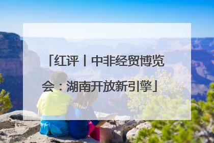 红评丨中非经贸博览会：湖南开放新引擎