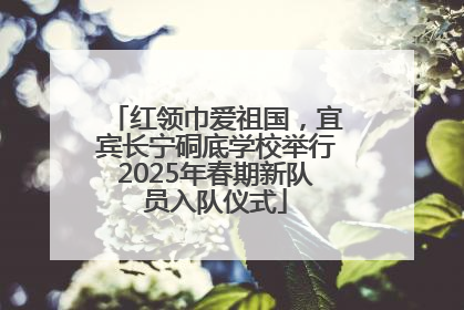 红领巾爱祖国，宜宾长宁硐底学校举行2025年春期新队员入队仪式