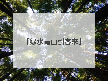 绿水青山引客来