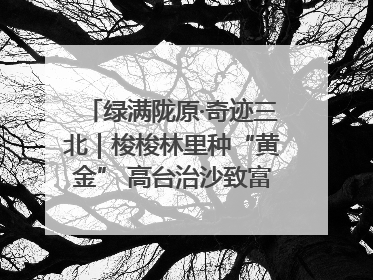 绿满陇原·奇迹三北｜梭梭林里种“黄金” 高台治沙致富很“从容”