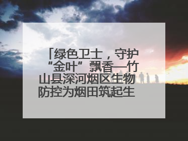 绿色卫士，守护“金叶”飘香—竹山县深河烟区生物防控为烟田筑起生态屏障