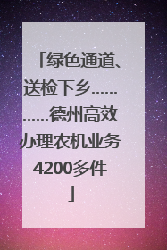 绿色通道、送检下乡…………德州高效办理农机业务4200多件