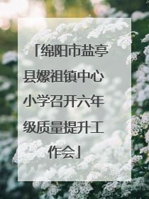 绵阳市盐亭县嫘祖镇中心小学召开六年级质量提升工作会