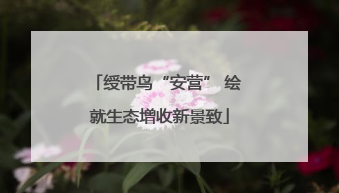 绶带鸟“安营” 绘就生态增收新景致