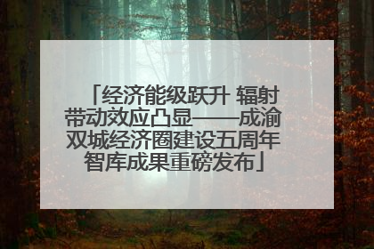 经济能级跃升 辐射带动效应凸显——成渝双城经济圈建设五周年智库成果重磅发布