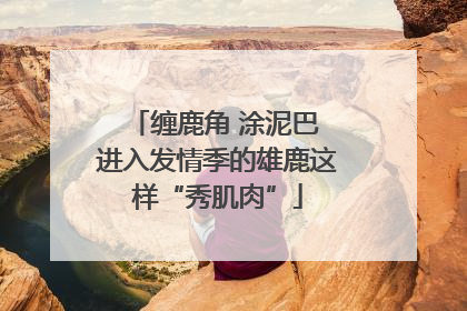 缠鹿角 涂泥巴 进入发情季的雄鹿这样“秀肌肉”
