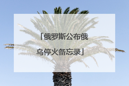 俄罗斯公布俄乌停火备忘录