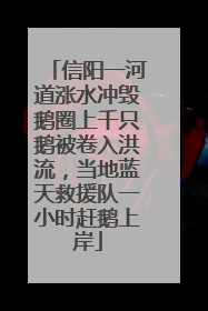 信阳一河道涨水冲毁鹅圈上千只鹅被卷入洪流，当地蓝天救援队一小时赶鹅上岸