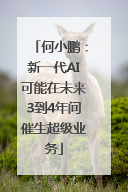 何小鹏：新一代AI可能在未来3到4年间催生超级业务