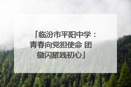 临汾市平阳中学：青春向党担使命 团徽闪耀践初心
