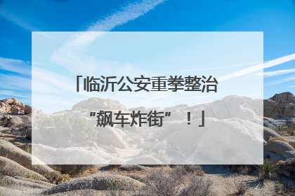 临沂公安重拳整治“飙车炸街”！