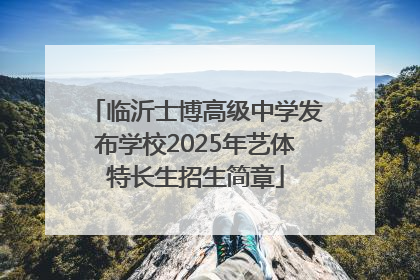 临沂士博高级中学发布学校2025年艺体特长生招生简章