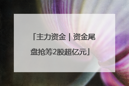 主力资金｜资金尾盘抢筹2股超亿元