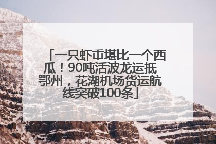 一只虾重堪比一个西瓜！90吨活波龙运抵鄂州，花湖机场货运航线突破100条