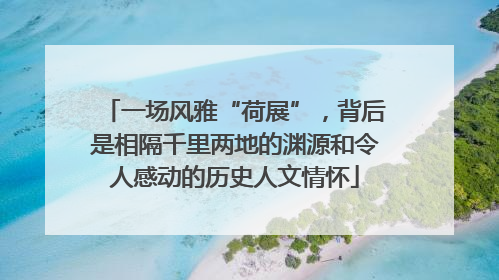 一场风雅“荷展”，背后是相隔千里两地的渊源和令人感动的历史人文情怀