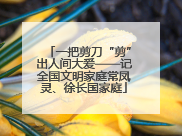 一把剪刀“剪”出人间大爱——记全国文明家庭常凤灵、徐长国家庭
