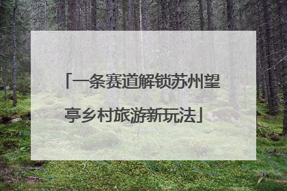 一条赛道解锁苏州望亭乡村旅游新玩法