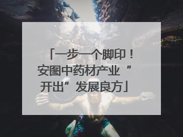 一步一个脚印！安图中药材产业“开出”发展良方