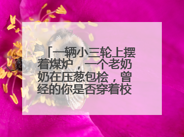 一辆小三轮上摆着煤炉，一个老奶奶在压葱包桧，曾经的你是否穿着校服等着吃