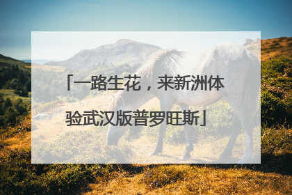 一路生花，来新洲体验武汉版普罗旺斯