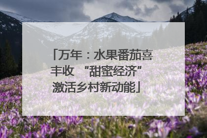 万年：水果番茄喜丰收 “甜蜜经济”激活乡村新动能