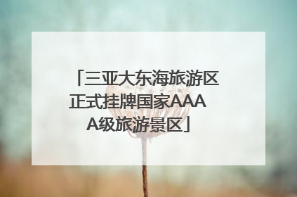 三亚大东海旅游区正式挂牌国家AAAA级旅游景区