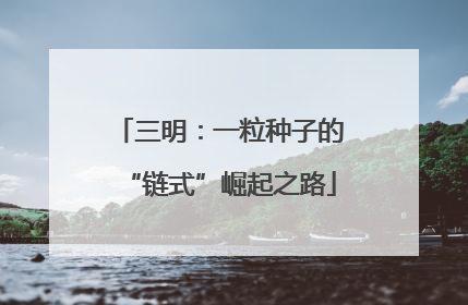 三明：一粒种子的“链式”崛起之路
