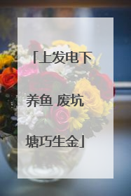 上发电下养鱼 废坑塘巧生金
