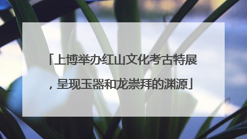 上博举办红山文化考古特展，呈现玉器和龙崇拜的渊源