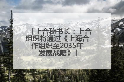 上合秘书长：上合组织将通过《上海合作组织至2035年发展战略》