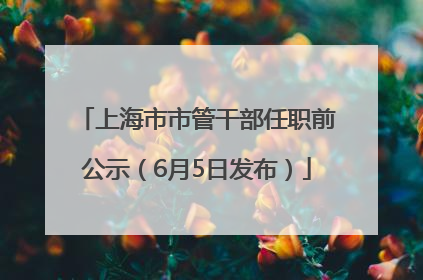 上海市市管干部任职前公示（6月5日发布）