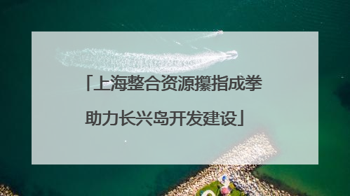 上海整合资源攥指成拳助力长兴岛开发建设