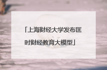 上海财经大学发布匡时财经教育大模型