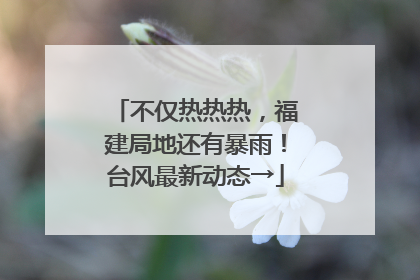 不仅热热热，福建局地还有暴雨！台风最新动态→