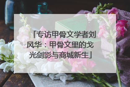 专访甲骨文学者刘风华：甲骨文里的戈光剑影与商城新生