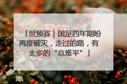 世预赛｜国足四年期盼再度破灭，走过的路，有太多的“意难平”