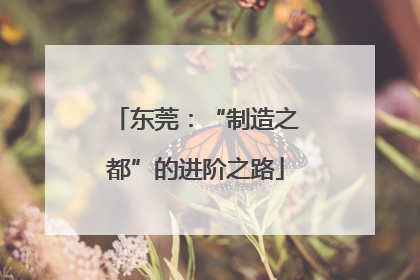 东莞：“制造之都”的进阶之路