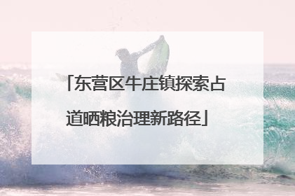 东营区牛庄镇探索占道晒粮治理新路径