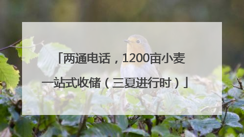 两通电话，1200亩小麦一站式收储（三夏进行时）