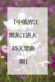 中俄界江黑龙江进入35天禁渔期