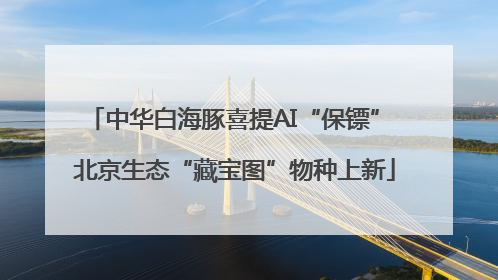 中华白海豚喜提AI“保镖” 北京生态“藏宝图”物种上新