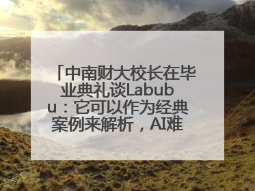 中南财大校长在毕业典礼谈Labubu：它可以作为经典案例来解析，AI难以给出答案